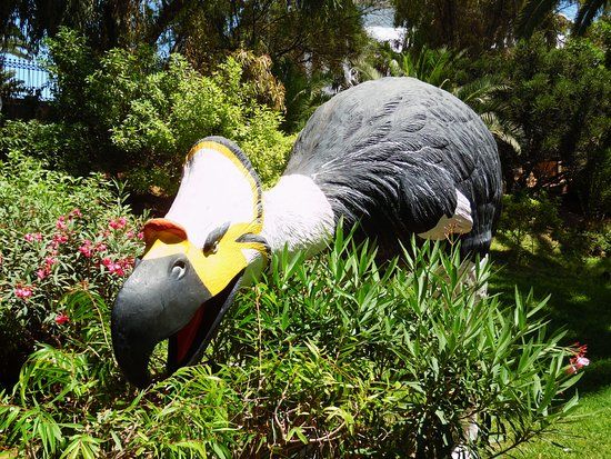 Vallée des oiseaux Agadir